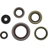 Set garnituri și semeringuri KTM MOOSE RACING 822348MSE