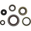 Set garnituri și semeringuri KTM MOOSE RACING 822348MSE Set garnituri și semeringuri KTM MOOSE RACING 822348MSE thumb
