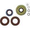 Garnitură KT DIFFERENTIAL RR MOOSE RACING 25-2112-5 Garnitură KT DIFFERENTIAL RR MOOSE RACING 25-2112-5 thumb