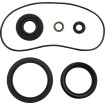 Garnitură KT differential frt MOOSE RACING 25-2120-5 Garnitură KT differential frt MOOSE RACING 25-2120-5 thumb