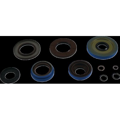 Set de garnituri pentru transmisie POL MSE MOOSE RACING 25-2085-5