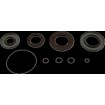 Set garnituri pentru transmisie POL MSE MOOSE RACING 25-2114-5 Set garnituri pentru transmisie POL MSE MOOSE RACING 25-2114-5 thumb