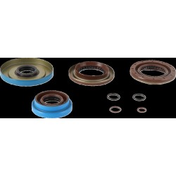 Set garnituri pentru transmisie POL MSE MOOSE RACING 25-2125-5 Set garnituri pentru transmisie POL MSE MOOSE RACING 25-2125-5