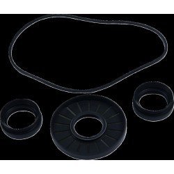 Set doar pentru etanșare diferențial față POL MSE MOOSE RACING 25-2133-5 Set doar pentru etanșare diferențial față POL MSE MOOSE RACING 25-2133-5