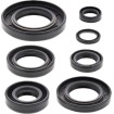 Set de semeringuri MOOSE RACING 822164MSE Set de semeringuri MOOSE RACING 822164MSE thumb