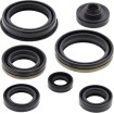 Set de semeringuri MOOSE RACING 822266MSE Set de semeringuri MOOSE RACING 822266MSE thumb