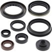 Set de semeringuri MOOSE RACING 822346MSE Set de semeringuri MOOSE RACING 822346MSE thumb