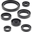 Set de semeringuri MOOSE RACING 822692MSE Set de semeringuri MOOSE RACING 822692MSE thumb