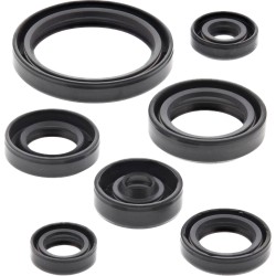 Set de semeringuri MOOSE RACING 822692MSE Set de semeringuri MOOSE RACING 822692MSE