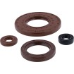 Set de semeringuri MSE CANAM MSE MOOSE RACING 822002MSE Set de semeringuri MSE CANAM MSE MOOSE RACING 822002MSE thumb