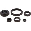 Set de semeringuri pentru motor MOOSE RACING 822003MSE