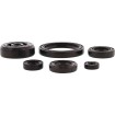 Set de semeringuri pentru motor MOOSE RACING 822003MSE Set de semeringuri pentru motor MOOSE RACING 822003MSE thumb