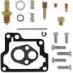 Set de reparație carburator MOOSE RACING 26-1119 Set de reparație carburator MOOSE RACING 26-1119 thumb