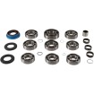 Set de reparație transmisie POLARIS MOOSE RACING 25-7012 Set de reparație transmisie POLARIS MOOSE RACING 25-7012 thumb