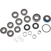 Set de reparație transmisie POLARIS MOOSE RACING 25-7013 Set de reparație transmisie POLARIS MOOSE RACING 25-7013 thumb