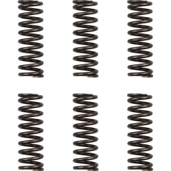Arcuri de ambreiaj YAM MOOSE RACING HDS-156-6 Arcuri de ambreiaj YAM MOOSE RACING HDS-156-6