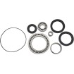 Set rulmenți și garnituri pentru diferențial MOOSE RACING 25-2045 Set rulmenți și garnituri pentru diferențial MOOSE RACING 25-2045 thumb