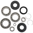 Set rulmenți și garnituri pentru diferențial MOOSE RACING 25-2060 Set rulmenți și garnituri pentru diferențial MOOSE RACING 25-2060 thumb
