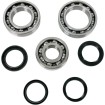 Set rulmenți și garnituri pentru diferențial MOOSE RACING 25-2062 Set rulmenți și garnituri pentru diferențial MOOSE RACING 25-2062 thumb