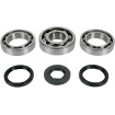 Set rulmenți și garnituri pentru diferențial MOOSE RACING 25-2059 Set rulmenți și garnituri pentru diferențial MOOSE RACING 25-2059 thumb