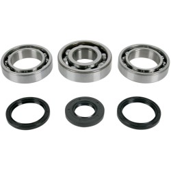 Set rulmenți și garnituri pentru diferențial MOOSE RACING 25-2059