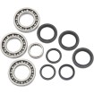 Set rulmenți și garnituri pentru diferențial MOOSE RACING 25-2065 Set rulmenți și garnituri pentru diferențial MOOSE RACING 25-2065 thumb