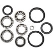 Set rulmenți și garnituri pentru diferențial MOOSE RACING 25-2050 Set rulmenți și garnituri pentru diferențial MOOSE RACING 25-2050 thumb