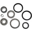 Set rulmenți și etanșări pentru diferențial MOOSE RACING 25-2051 Set rulmenți și etanșări pentru diferențial MOOSE RACING 25-2051 thumb