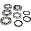 Set rulmenți și garnituri pentru diferențial MOOSE RACING 25-2073 Set rulmenți și garnituri pentru diferențial MOOSE RACING 25-2073 thumb