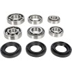 Set rulmenți și garnituri pentru diferențial MOOSE RACING 25-2075 Set rulmenți și garnituri pentru diferențial MOOSE RACING 25-2075 thumb