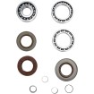 Set rulmenți și garnituri pentru diferențial MOOSE RACING 25-2080 Set rulmenți și garnituri pentru diferențial MOOSE RACING 25-2080 thumb