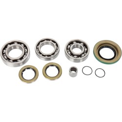 Set rulmenți și garnituri pentru diferențial MOOSE RACING 25-2086 Set rulmenți și garnituri pentru diferențial MOOSE RACING 25-2086