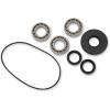 Set rulmenți DIFF FT POL MOOSE RACING 25-2105