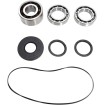Set rulmenți DIFF FT POL MOOSE RACING 25-2108 Set rulmenți DIFF FT POL MOOSE RACING 25-2108 thumb