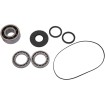 Set rulmenți DIFF FT POL MOOSE RACING 25-2116 Set rulmenți DIFF FT POL MOOSE RACING 25-2116 thumb