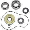 Set rulmenți diferențial CANAM MOOSE RACING 25-2117 Set rulmenți diferențial CANAM MOOSE RACING 25-2117 thumb