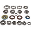 Set rulmenți pentru transmisie RR MOOSE RACING 25-2112