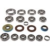 Set rulmenți pentru transmisie RR MOOSE RACING 25-2112 Set rulmenți pentru transmisie RR MOOSE RACING 25-2112 thumb