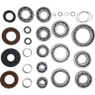 Set rulmenți pentru transmisie RR MOOSE RACING 25-2113 Set rulmenți pentru transmisie RR MOOSE RACING 25-2113 thumb