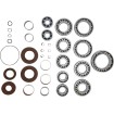 Set rulmenți pentru transmisie RR MOOSE RACING 25-2114 Set rulmenți pentru transmisie RR MOOSE RACING 25-2114 thumb