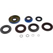 Set rulmenți pentru transmisie RR MOOSE RACING 25-2124 Set rulmenți pentru transmisie RR MOOSE RACING 25-2124 thumb