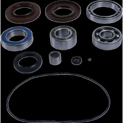 Set rulmenți/etansări pentru diferențial FRT AC MSE MOOSE RACING 25-2118 Set rulmenți/etansări pentru diferențial FRT AC MSE MOOSE RACING 25-2118