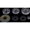 Set rulmenți/simeringuri pentru diferențial FRT CANAM MSE MOOSE RACING 25-2119 thumb