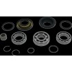 Set rulment/sigilare diferențial spate HON MSE MOOSE RACING 25-2137 Set rulment/sigilare diferențial spate HON MSE MOOSE RACING 25-2137 thumb