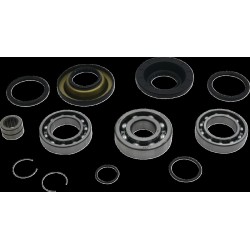 Set rulment/sigilare diferențial spate HON MSE MOOSE RACING 25-2137 Set rulment/sigilare diferențial spate HON MSE MOOSE RACING 25-2137