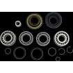 Set rulment/diferențial spate HON MSE MOOSE RACING 25-2138 Set rulment/diferențial spate HON MSE MOOSE RACING 25-2138 thumb