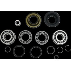 Set rulment/diferențial spate HON MSE MOOSE RACING 25-2138 Set rulment/diferențial spate HON MSE MOOSE RACING 25-2138