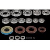Set rulmenți/simeringuri pentru transmisie POL MSE MOOSE RACING 25-2142 Set rulmenți/simeringuri pentru transmisie POL MSE MOOSE RACING 25-2142 thumb