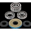 Set rulmenți/etansări pentru diferențial față CANAM MSE MOOSE RACING 25-2149 Set rulmenți/etansări pentru diferențial față CANAM MSE MOOSE RACING 25-2149 thumb