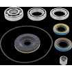 Set rulment/sigilare diferențial spate CANAM MSE MOOSE RACING 25-2150 Set rulment/sigilare diferențial spate CANAM MSE MOOSE RACING 25-2150 thumb